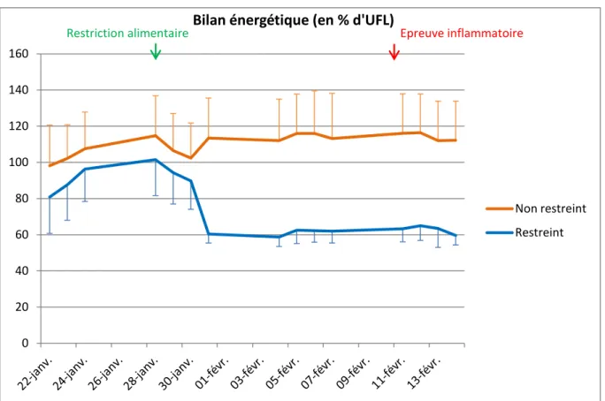 Figure 9 : Variation du bilan énergétique pour le lot restreint et le lot non restreint (dans l’ensemble des  graphiques, les écarts types sont représentés par les barres verticales) 