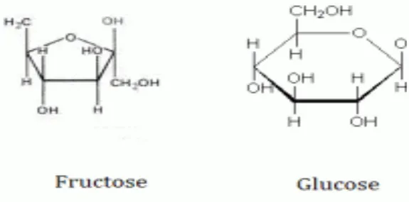 Figure 9 : Forme chimique du Fructose et du Glucose 
