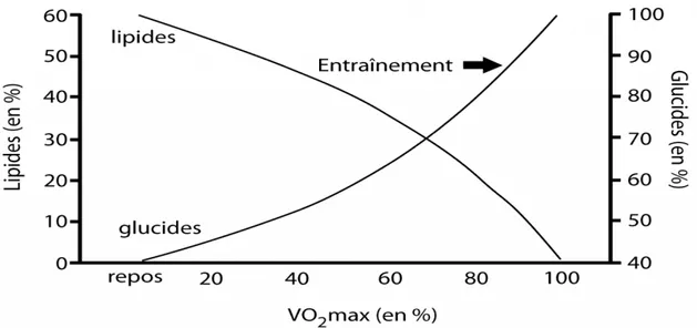 Figure 14 : Part relative des lipides et des glucides dans la consommation d’énergie en fonction  de l’intensité de l’effort : « crossover concept »