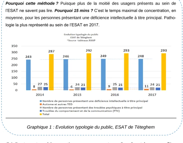 Graphique 1 : Evolution typologie du public, ESAT de Téteghem 
