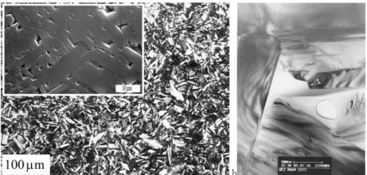 Fig.  3.II.  Microstructure  de  la  labradorite  synthétique  de  type  HIP-I  observée  en  MO,  MEB  et  MET