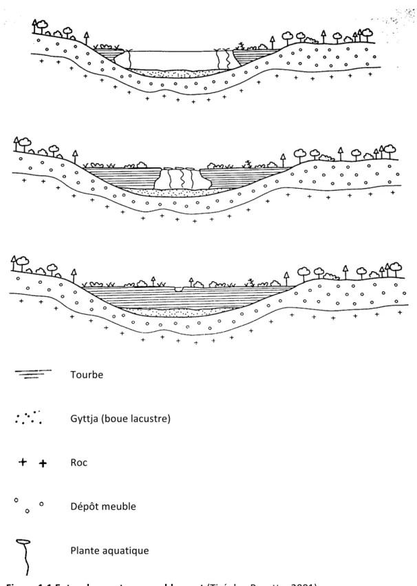Figure	  1.1	  Entourbement	  par	  comblement	  (Tiré	  de	  :	  Payette,	  2001)	  
