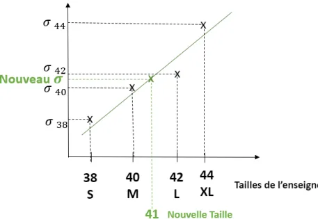 Figure 50. Illustration de la régression linéaire utilisée pour estimer les écarts types pour  différentes tailles 