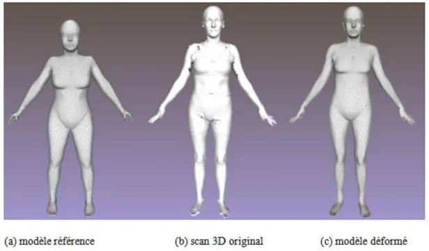 Figure 13. Exemple d'alignement d'un modèle avec un scan 3D par Hirshberg et al. [64]