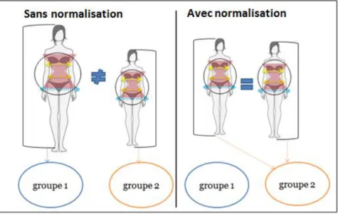Figure 42. Exemple de deux morphologies similaires normalisées par le cercle minimum  englobant