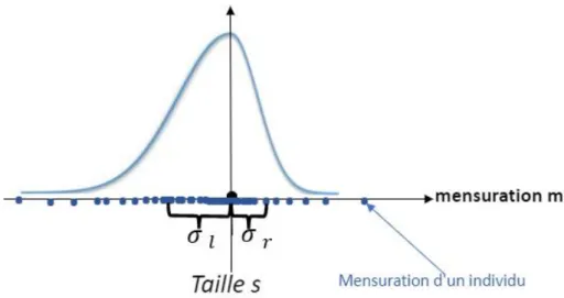 Figure 49. Illustration du calcul de deux écarts-types pour taille de vêtement  
