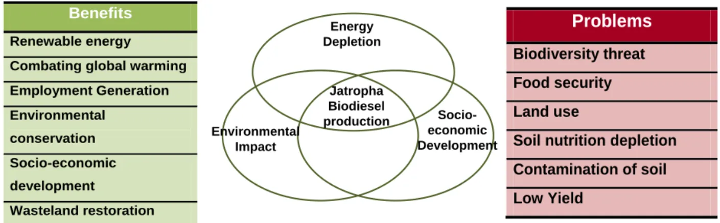 Table 4  Some sustainability issues in the life cycle of biofuels (Adapted from Azapagic and  Stichnothe, 2010) 