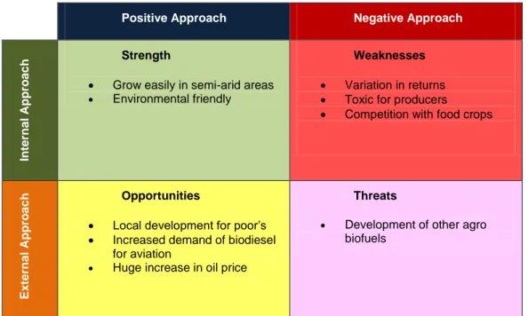 Table 6  SWOT analysis for Jatropha (adapted from Rutz and Janssen, 2007) 