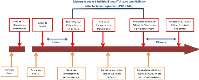 Figure 4 : Le circuit des médicaments bénéficiant d’une ATU  