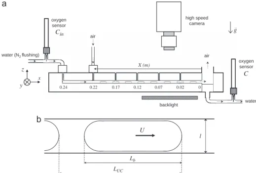 Fig. 1. Reduction of resazurin to resoruﬁn by glucose and sodium hydroxide (step [1])