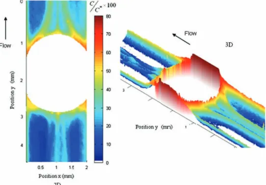 Fig. 6. Equivalent oxygen concentration ﬁeld around a moving bubble for Q L ¼1 L h −1 and Q G ¼0.2 L h −1