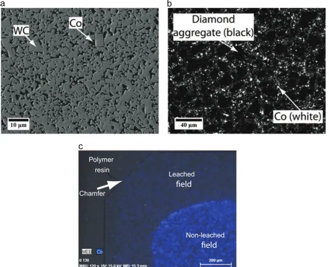 Fig. 2. SEM images at 15 kV: (a) sample B tungsten carbide-cobalt part by secondary electron analysis; (b) sample B diamond part by backscattered electron analysis;