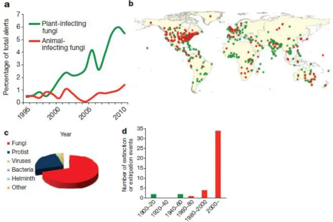 Figure 2.1   Tendances globales de l’émergence de maladies fongiques chez les populations floristiques  et fauniques