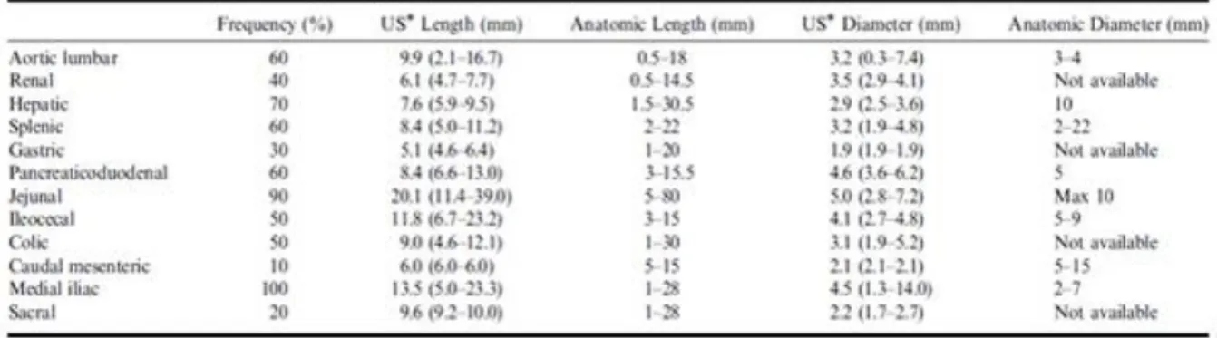 Tableau 5 : Taille échographique et taille anatomique des NL abdominaux chez le chat [123] 