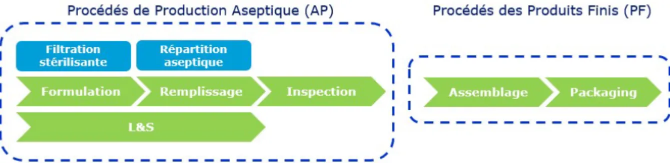 Figure 8 : Processus de production des produits insuliniques  