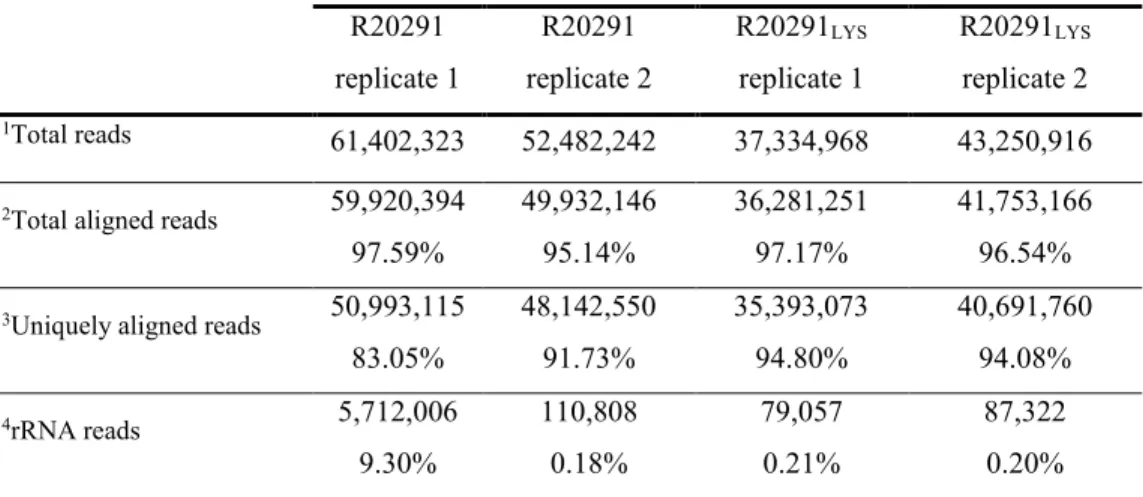 Table 1. Summary of RNA-seq data  R20291   replicate 1  R20291   replicate 2  R20291 LYS replicate 1  R20291 LYS   replicate 2  1 Total reads  61,402,323  52,482,242  37,334,968  43,250,916 