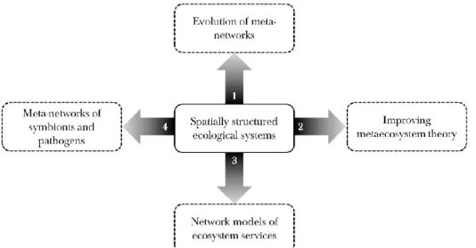 Fig. 17 – Perspectives for future work on spatially structured ecological systems. 
