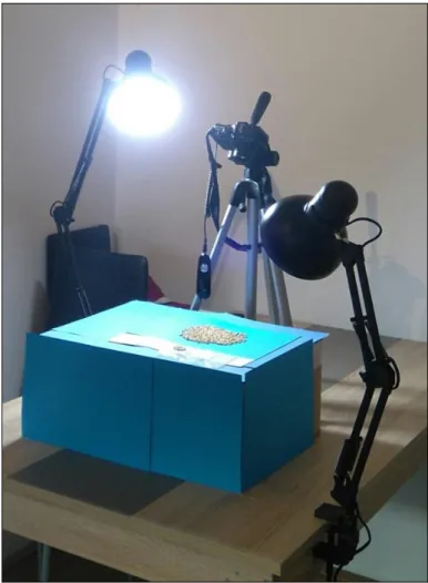 Figure S1. Example of the photo studio set-up for taking digital images of grain samples