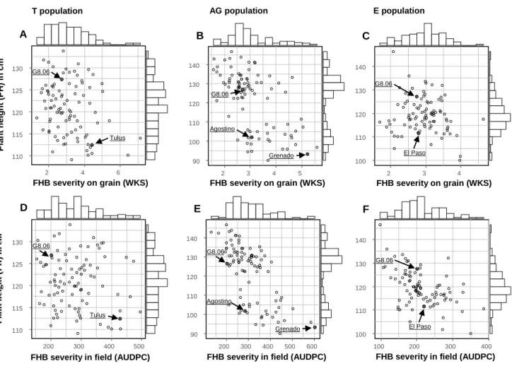 Figure 1 Scatter plots and marginal histograms of frequency distribution of BLUEs for: FHB severity  on grains (WKS) against plant height (cm) for (A) the T population; (B) the AG population; (C) and  the  E  population;  and  for  FHB  severity  in  field