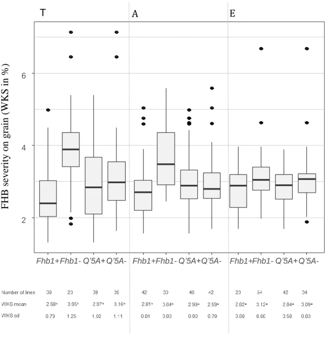 Figure  2  Box  plot  distributions  of  F 4   according  to  their  alleles  at  Fhb1  and  Qfhs.ifa-5A loci  for the  three tested  populations  based on  BLUEs  of  FHB  severity  on  grain  (WKS)