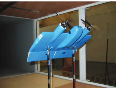 Figure 1: The MAVion, a convertible MAV developed in ISAE