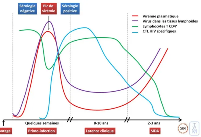 Figure 4 : Évolution naturelle de l’infection par le VIH-1 au cours de temps (9). 
