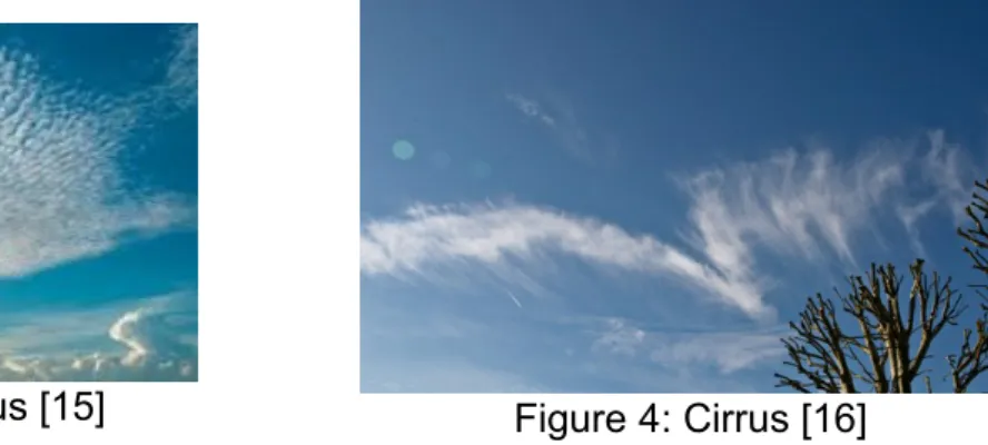 Figure 4: Cirrus [16]