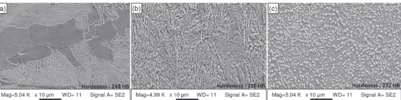 Figure 3: The initial microstructures of the three steels studied: (a) 42CrMo4-FP, (b) 42CrMo4-BA and (c) 100Cr6-FP.