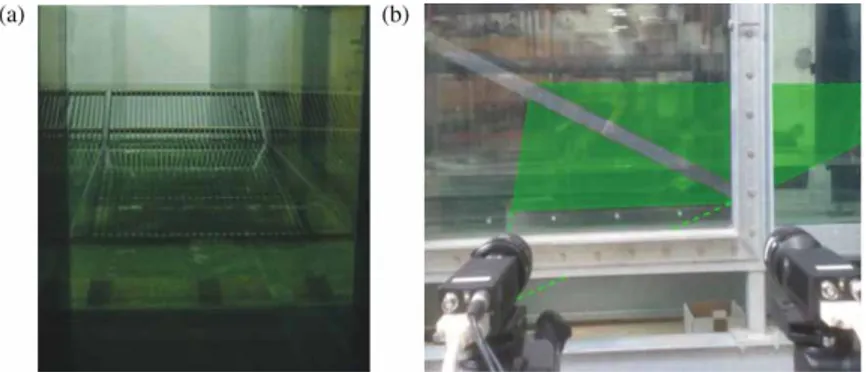 Figure 2 The inclined rack seen from inside the channel (a) and the PIV laser sheet (b) observed from near the cameras (emitted from the bottom)