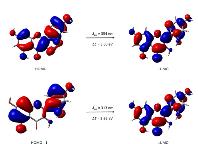 Figure 9 The HOMO–1 → LUMO and HOMO → LUMO transitions for the morin molecule with the inter–