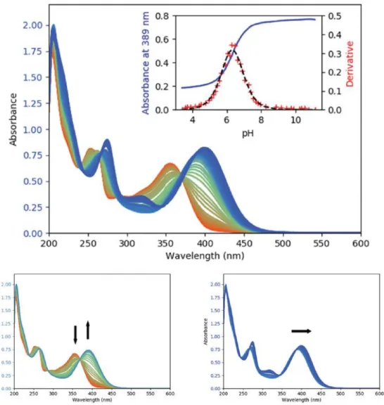 Figure  10  Set  of  UV–vis  spectra  measured  during  the  titration  of  morin  against  sodium  hydroxide :  whole set (top), and restriction to the values of pH below (bottom left) and above (bottom right) 8.2