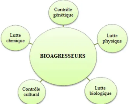 Figure  I.  1.  Différentes  méthodes  de  lutte  ou  de  contrôle  contre  les  bioagresseurs  (Attoumani- (Attoumani-Ronceux et al., 2011)