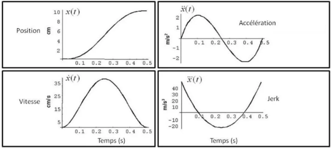 Figure 2.27  Evolution de la position, vitesse, accélération et jerk d'un prol temporel de type minimum jerk.