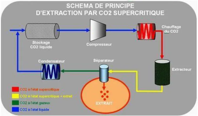 Figure 4: Principe d'extraction au CO2 supercritique (10) 