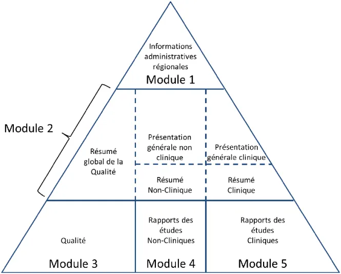 Figure 3 : Triangle CTD représentant la composition du Dossier Technique Commun [33]  