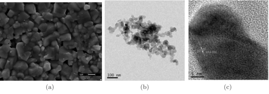 FIG. 1: (color online) (a) The scanning electron microscopic image of the bulk sintered pellet of BiFeO 3 ; the average grain size