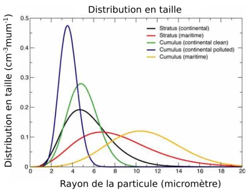 FIG. 2.8 – Distribution en taille normalisée à une particule par cm 3 pour les 5 types de nuages d’eau présents dans OPAC (source : Matricardi (2005)).