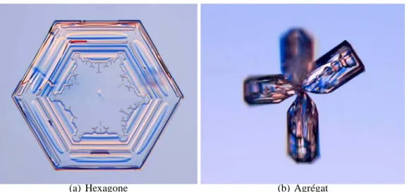 FIG. 2.10 – Exemples types de formes de cristaux de glace : forme hexagonale (a) et type rosette agrégat (b).