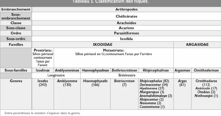 Figure 3 Classification des tiques. Bio-écologie et rôle pathogène des tiques de France métropolitaine