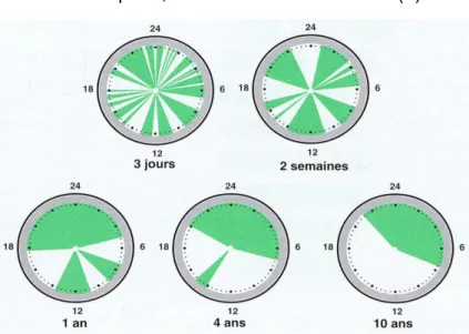 Figure 7 : Répartition des périodes de sommeil (en vert)  sur la journée en fonction des âges