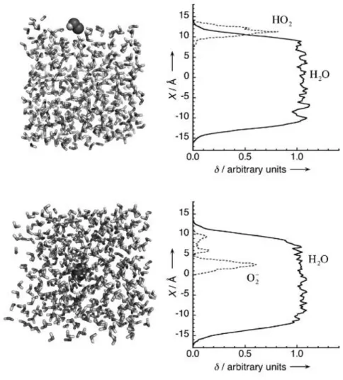 Figure 25: Unconstrained 50 ps MD simulations with the radicals initially placed at the air-water interface