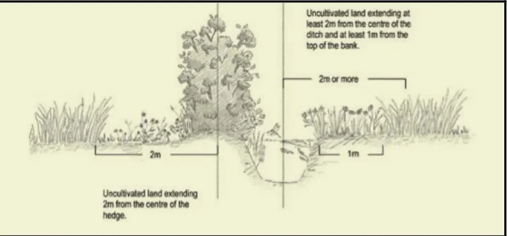 Figure 3.3 Aménagement combiné d’une haie et d’un fossé (Tiré de Natural England,  2013a, p.49) 