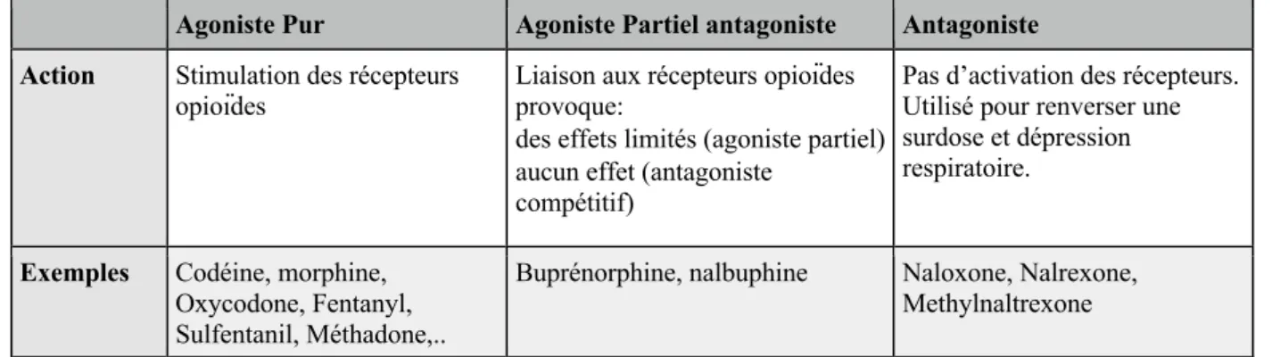 Tableau 3 : Classification des opioïdes selon leur action sur les récepteurs opioïdes 