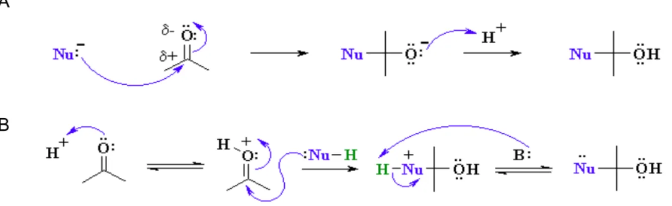 Figure	4	:	Réaction	d’addition	nucléophile	
