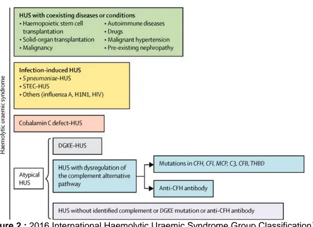 Figure 2 : 2016 International Haemolytic Uraemic Syndrome Group Classification 10