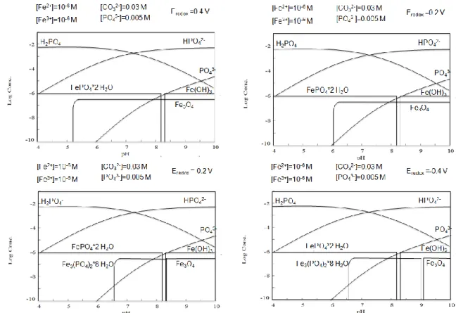 Figure  10  Log  Concentration  vs  pH  diagram  for  the  species  of  Fe(II)  and  Fe(III)  and     phosphate