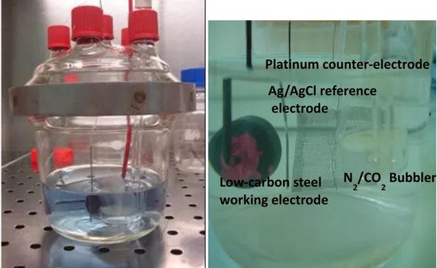 Fig. II.2 Photo of a 0.5 L reactor and its zoom up    II.2. Bacteria samples 