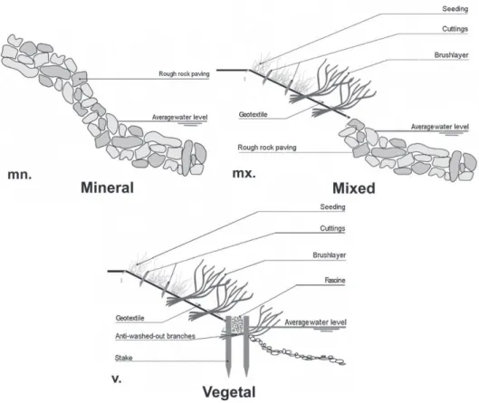 Fig. 1. Schematic representation of riverbank techniques studied. (a) Civil engineering embankments: riprap protection, noted as “Mineral”