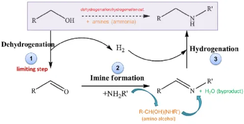 Figure 1.21 A “Borrowing Hydrogen” methodology for directly one-pot  amination of alcohol