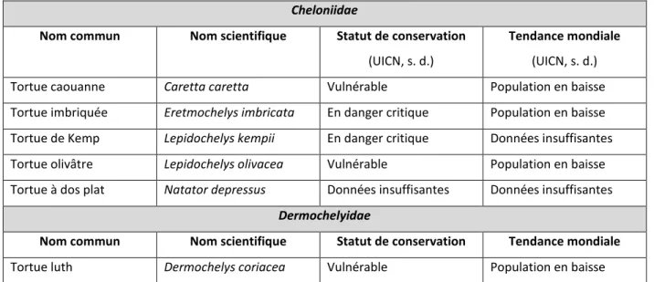 Tableau 1.1 Statut des espèces de tortues de mer dans le monde (suite) (tiré de : UICN, s.d.)  Cheloniidae 